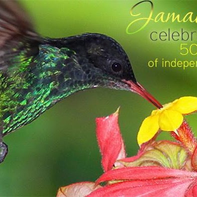 Erica Fraser Photo 2