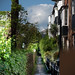 James Alley Photo 15