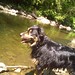 Laura Eastman Photo 20