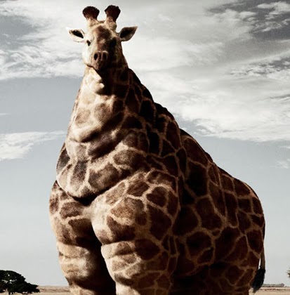 Sylvia Helton Photo 5