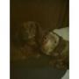 Kathy Lovell Photo 9