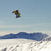 Anthony Holland Photo 41