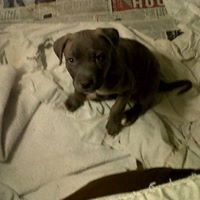 Ellen Atkins Photo 17