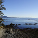 Judy Holland Photo 10