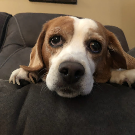 Kevin Mccarthy Photo 49 Kevin Mccarthy Photo 49