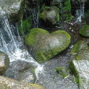 Tammy Stone Photo 34