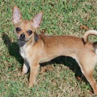 Cindy Garner Photo 10