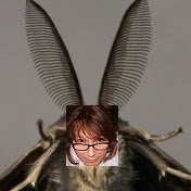 Christine Messer Photo 32