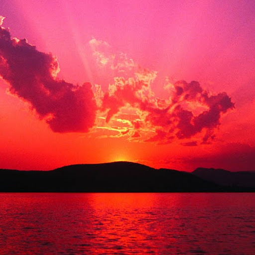 Samantha Henderson Photo 16