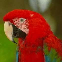 Clinton Washington Photo 8