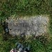 Jeanne Corcoran Photo 21