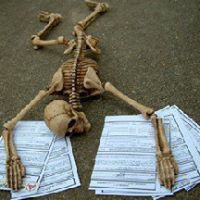 Stacy Spencer Photo 14