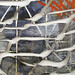 Sarah Wiseman Photo 5