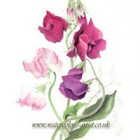Joann Ray Photo 13