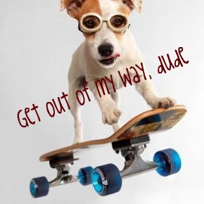 Walter Roberts Photo 30