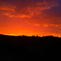 Andrew Cain Photo 13