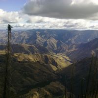 Debra Tuttle Photo 11