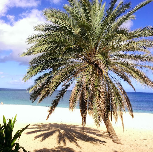 Katherine Craig Photo 7