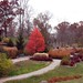 Henry Wilks Photo 10
