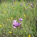 Paula Lockwood Photo 16