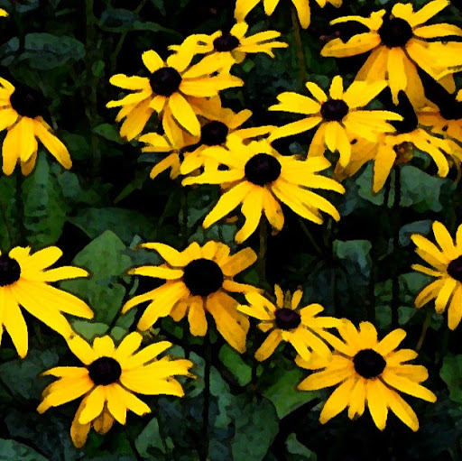 Sarah Braswell Photo 7