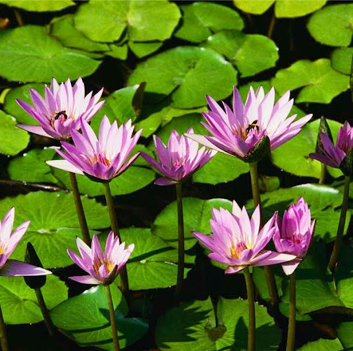 Celina Lopez Photo 11