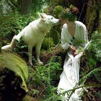Jacqueline Ellis Photo 34