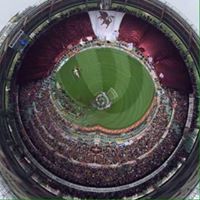 Michael Pecoraro Photo 38