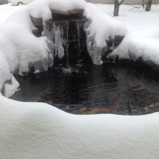 Troy Pearson Photo 12