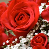 Debbie Phipps Photo 19