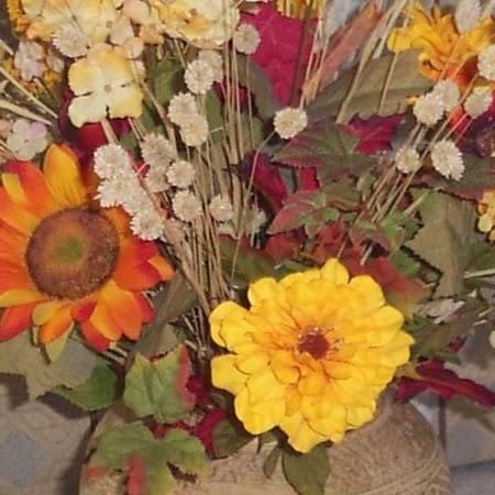 Sandy Bloom Photo 9