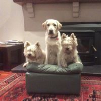 Christine Bray Photo 14