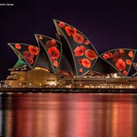 Sue Reilly Photo 24