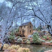 Angie Robertson Photo 18