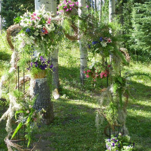 Cindy Shelton Photo 40