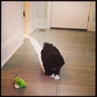 Jessica Fischer Photo 24