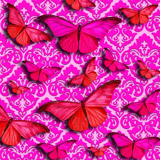 Debbie Bauer Photo 35