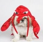 Kathryn Hackett Photo 19