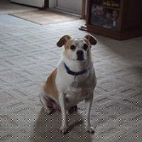 Dave Minnick Photo 6
