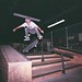 Steven Seigel Photo 16
