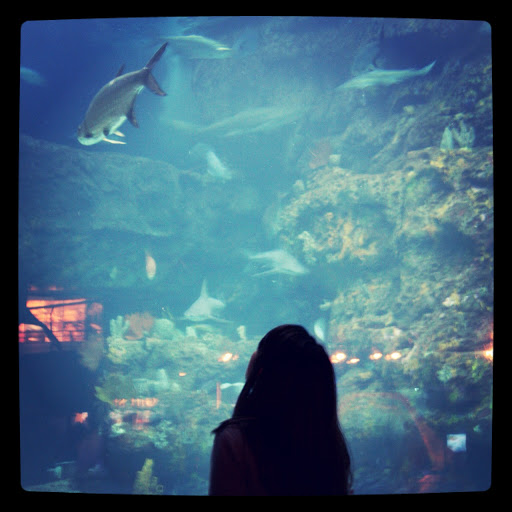 Heather Hickson Photo 3