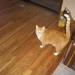 Anna Effinger Photo 1