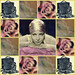 Rose Helms Photo 15