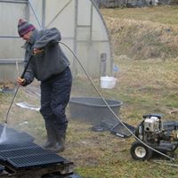 Julie Mansfield Photo 16