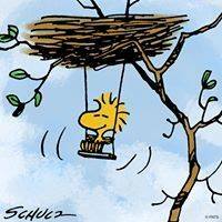 Deborah Kaye Photo 12