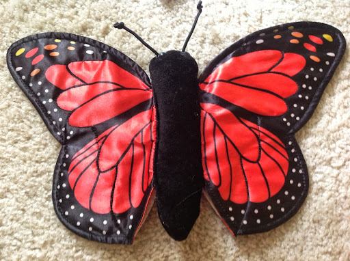 Elizabeth Larsen Photo 13