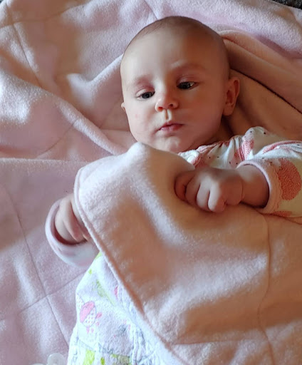 Justin Stein Photo 16