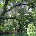 Cathy Dean Photo 16
