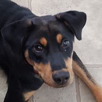 Kimberly Woolf Photo 2