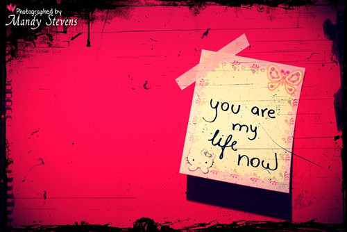 Cynthia Harms Photo 7